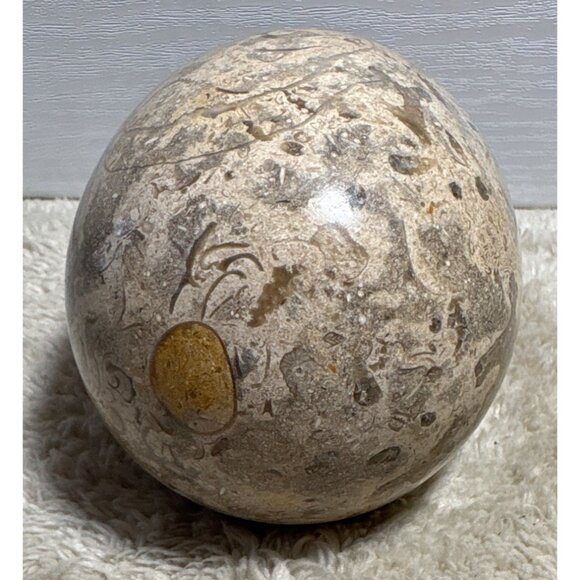 Polished Fossilized Stone Egg With Intricate Natural Patterns Beige Brown 4" - Picture 4 of 7